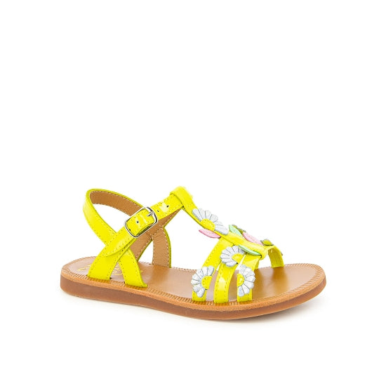 PLAGETTE MULTI DAISY VERNIS LIME