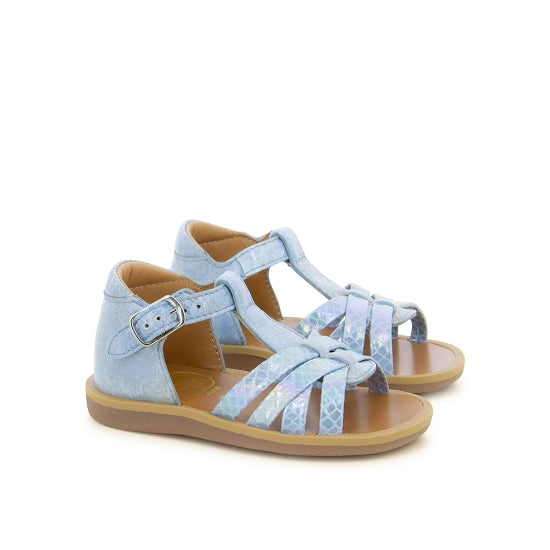 POPPY BACK NEPTUNE SKY