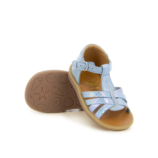 POPPY BACK NEPTUNE SKY