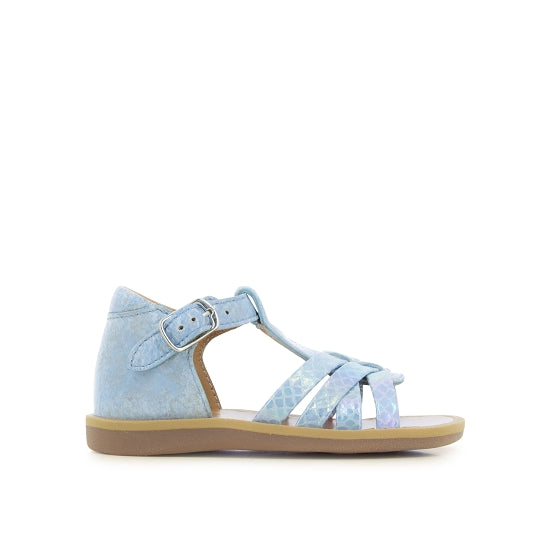 POPPY BACK NEPTUNE SKY