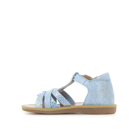 POPPY BACK NEPTUNE SKY