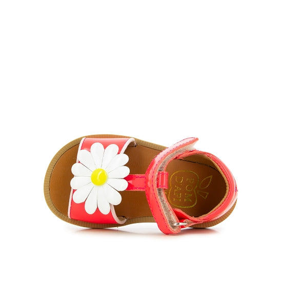 POPPY BIG FLO PINK NEON