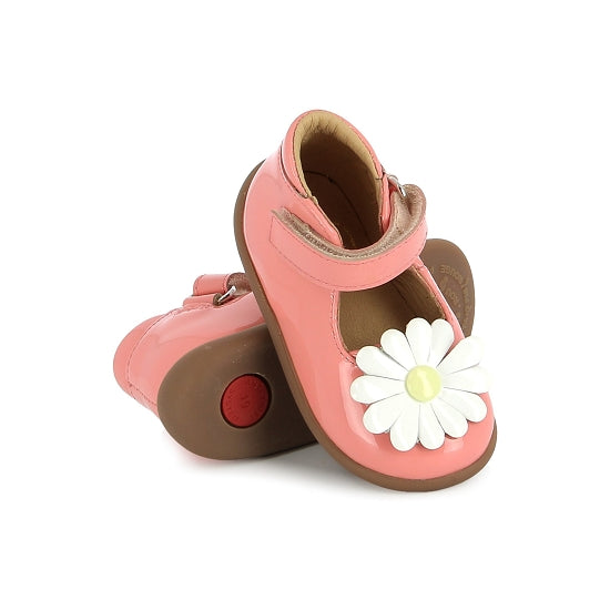 STAND-UP DAISY VERNIS(PICANTE)